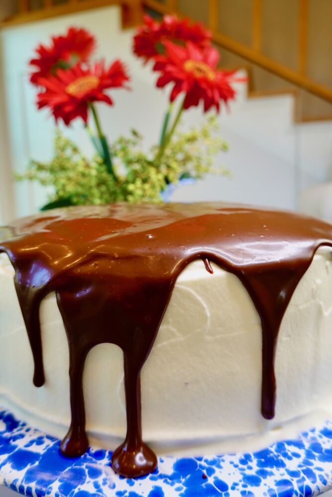 SOURDOUGH CHOCOLATE CAKE WITH RED GERBER DAISIES