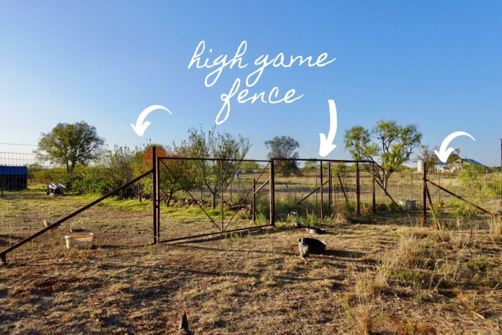 high game fence for chickens