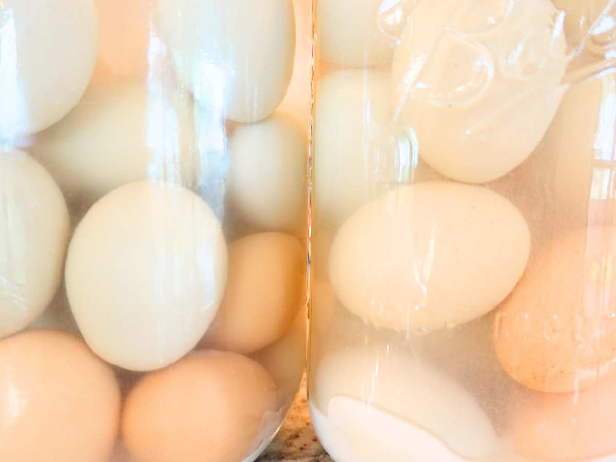https://texasfarmsteadliving.com/wp-content/uploads/2023/10/2-jars-of-water-glassing-eggs.jpg