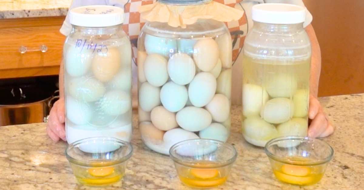 Water Glassing Eggs for Storage - The Homesteading RD