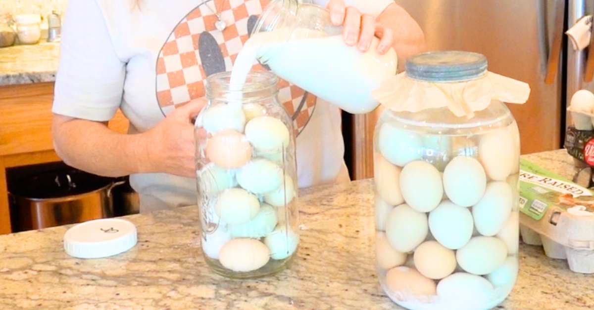 a six month old jar of water glassed eggs