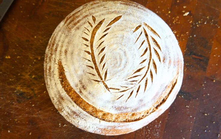 Beginner's Sourdough Bread Recipe